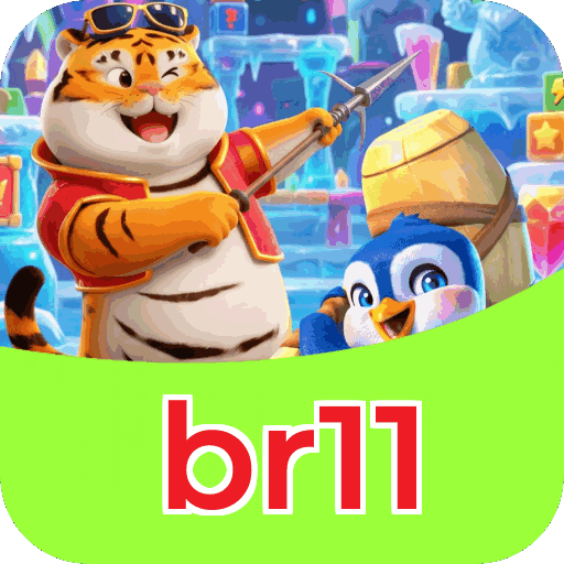 Interface br11